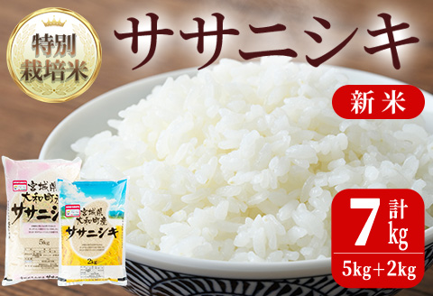 [令和5年産 新米]特別栽培米 ササニシキ 7kg ta238[若木の里]