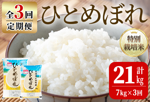 [令和5年産][3か月定期便]特別栽培米 ひとめぼれ 21kg ta243[若木の里]