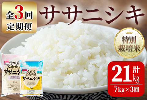 [令和5年産][3か月定期便]特別栽培米 ササニシキ 21kg ta244[若木の里]