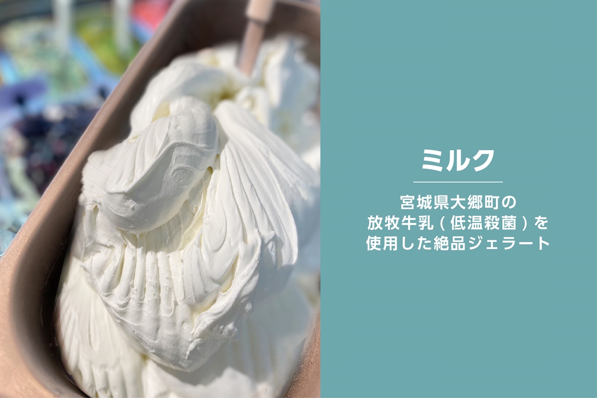 ジェラート 大郷町低温殺菌放牧牛乳使用 支倉の浪漫 [ミルク] ファミリーパック (大容量1000ml) アイスクリーム｜宮城県 大郷町 アイス スイーツ 牧場 牛乳 イタリアンジェラート デザート アイスクリーム [0155]