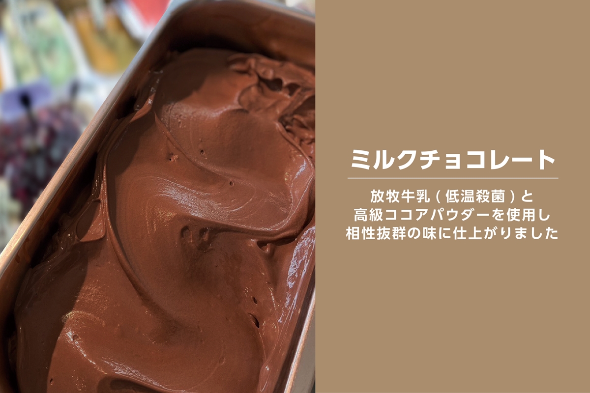 ジェラート 大郷町低温殺菌放牧牛乳使用 支倉の浪漫 [ミルクチョコ] ファミリーパック (大容量1000ml) アイスクリーム｜宮城県 大郷町 アイス スイーツ 牧場 牛乳 イタリアンジェラート デザート アイスクリーム [0156]