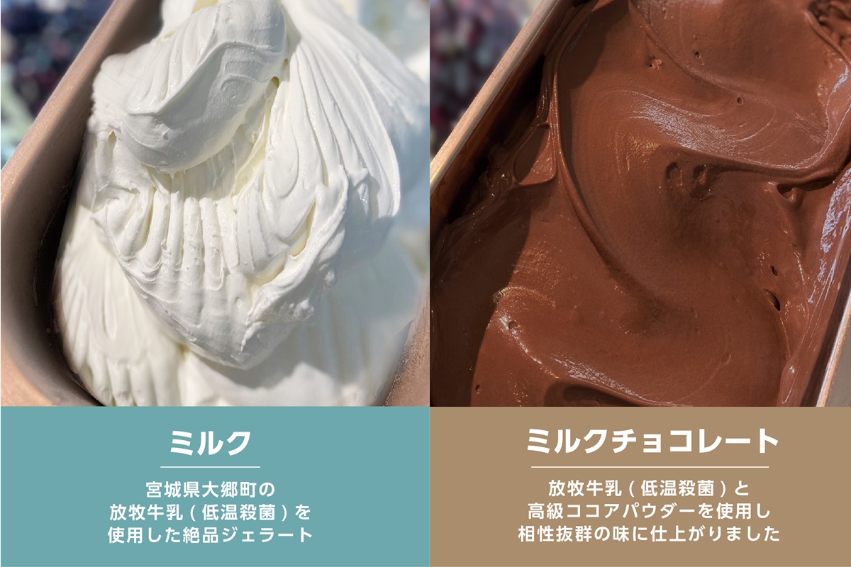 支倉の浪漫 ジェラート 特選パック (120mlカップ ミルク5個、ミルクチョコ5個 計10個入り) 大郷町低温殺菌 放牧牛乳使用｜宮城県 大郷町 アイス スイーツ 牧場 牛乳 イタリアンジェラート デザート アイスクリーム カップジェラート ジェラート [0216]