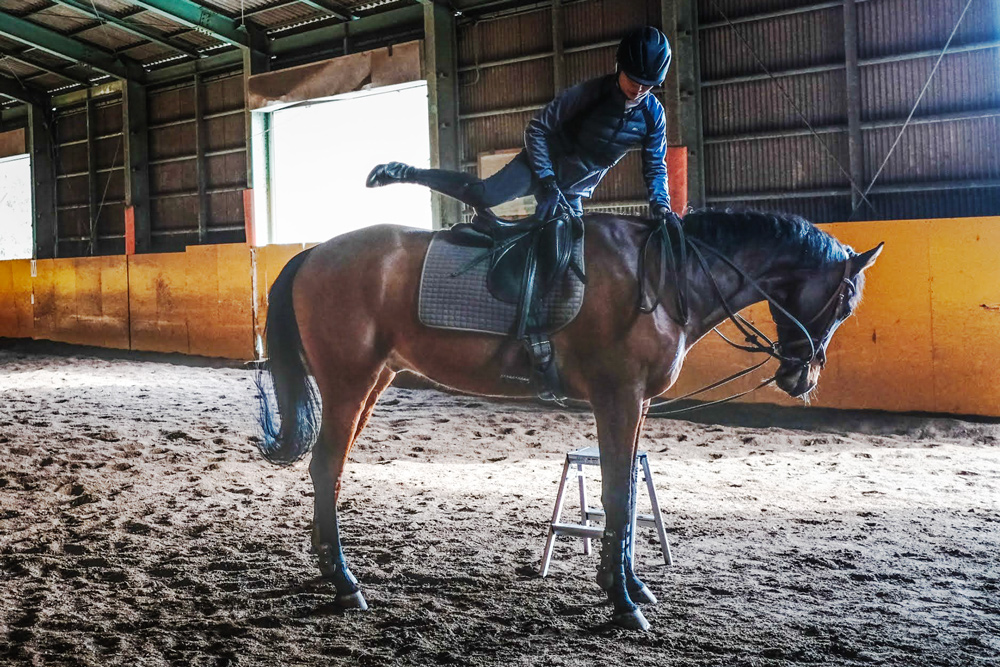 上達！馬術レッスン・ビジター45分コース｜東北 宮城 仙台 乗馬 チケット クーポン 入場券 体験 レジャー [0088]