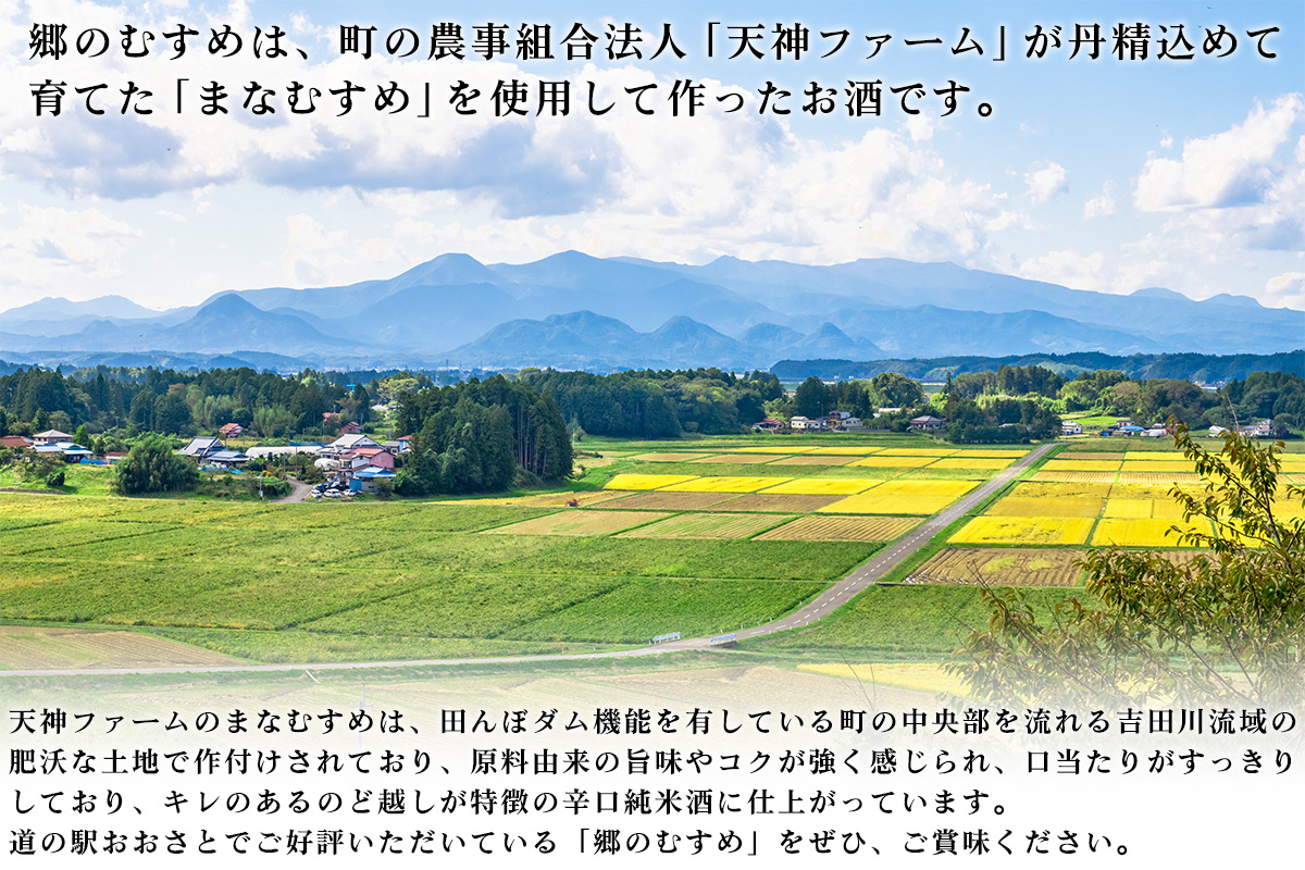 純米酒「郷のむすめ」1.8L×1本｜宮城 酒蔵 地酒 日本酒 銘酒 お酒 酒 さけ 純米酒 辛口 内ヶ崎酒造店 道の駅 [0302]