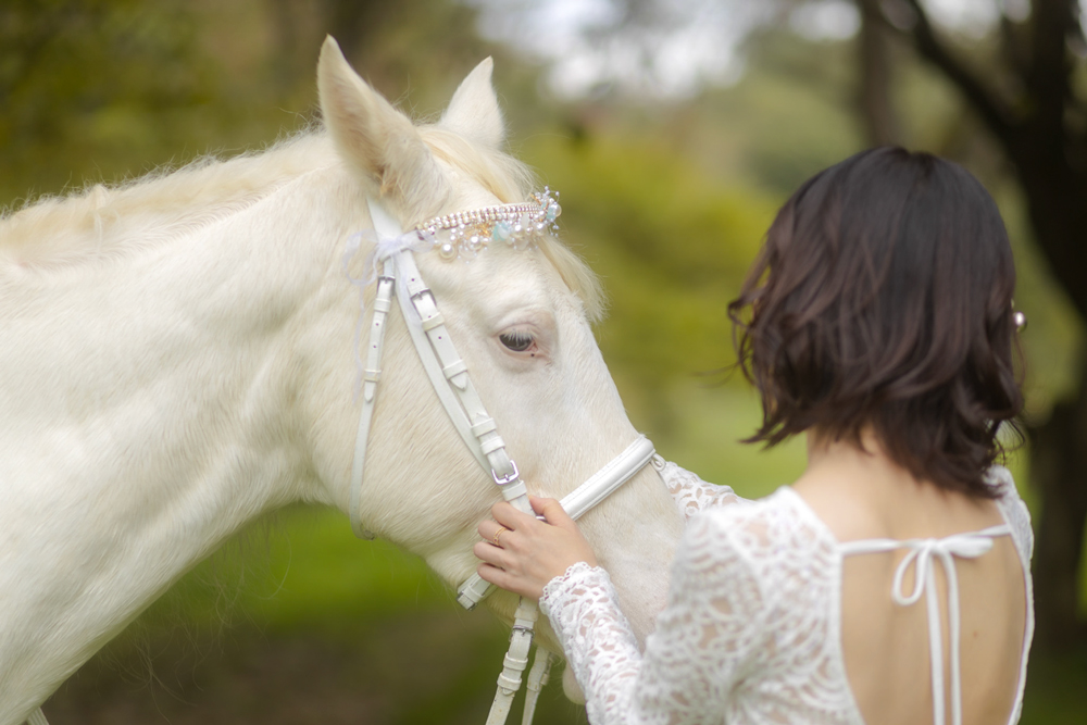 馬と撮影 カジュアルプラン｜東北 宮城 仙台 乗馬 写真 チケット クーポン 入場券 体験 レジャー [0092]