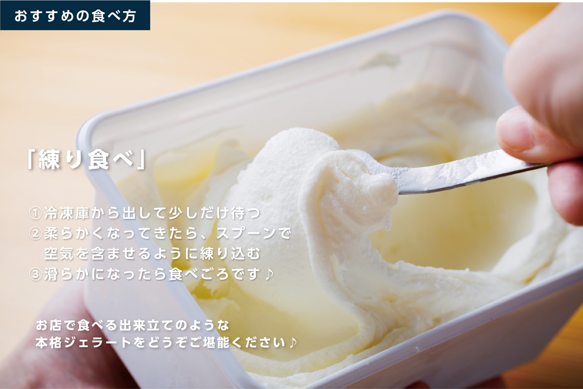 ジェラート 大郷町低温殺菌放牧牛乳使用 支倉の浪漫 [ミルクチョコ] ファミリーパック (大容量1000ml) アイスクリーム｜宮城県 大郷町 アイス スイーツ 牧場 牛乳 イタリアンジェラート デザート アイスクリーム [0156]