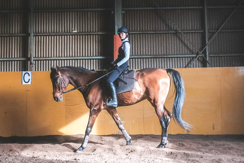 はじめよう！乗馬レッスン・ビジター45分コース｜東北 宮城 仙台 チケット クーポン 入場券 体験 レジャー [0091]
