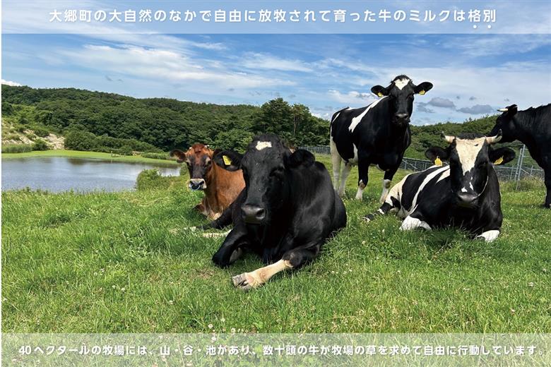 支倉の浪漫 ジェラート 特選パック (120mlカップ ミルク5個、ミルクチョコ5個 計10個入り) 大郷町低温殺菌 放牧牛乳使用｜宮城県 大郷町 アイス スイーツ 牧場 牛乳 イタリアンジェラート デザート アイスクリーム カップジェラート ジェラート [0216]