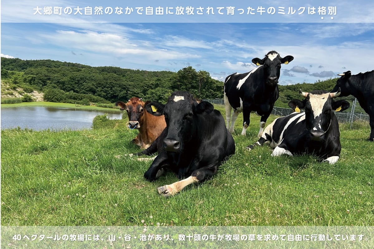 支倉の浪漫 ジェラート【ミルク・ミルクチョコ・ミックスベリー 各2個】 特選3種セット(120mlカップ 計6個入り)｜宮城県 大郷町 アイス スイーツ 牧場 牛乳 イタリアンジェラート デザート アイスクリーム カップジェラート ジェラート [0230]