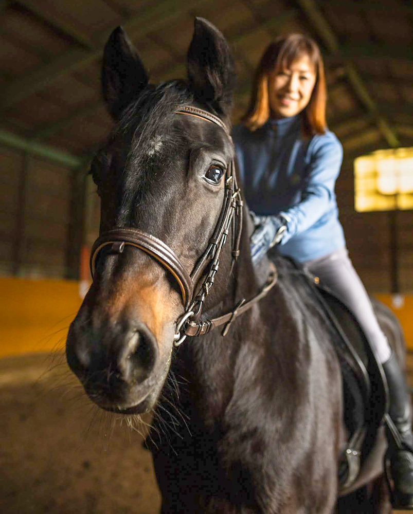 上達！馬術レッスン・ビジター45分コース｜東北 宮城 仙台 乗馬 チケット クーポン 入場券 体験 レジャー [0088]