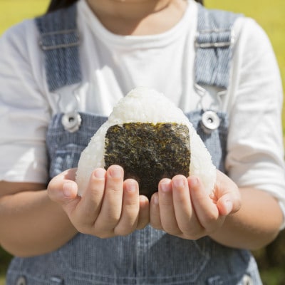 【令和7年産】宮城県　色麻町　ひとめぼれ　精米　10kg(5kg×2)【配送不可地域：離島・沖縄県】
