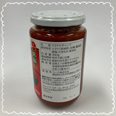 とまとケチャップ 380g×6個【配送不可地域：離島・沖縄県】