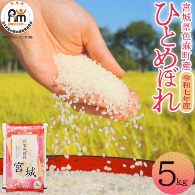 【令和7年産】宮城県　色麻町　ひとめぼれ　精米　5kg【配送不可地域：離島・沖縄県】