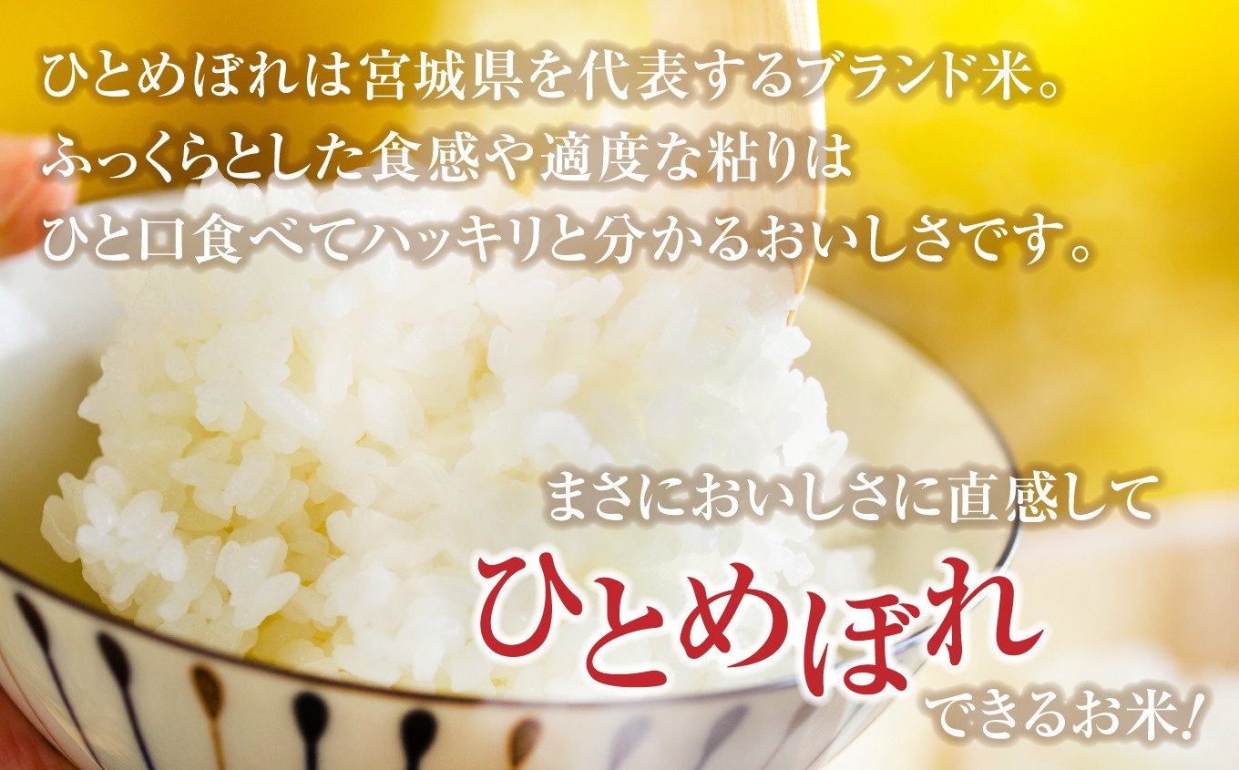 無洗米 令和7年産 米 金芽米 ひとめぼれ 宮城県産 5kg [ 宮城県 加美町 km-my-knm05-r7 ] お米 小分け こめ コメ 精米 白米 玄米 きんめまい おすすめ ナカリ 時短 便利 タカラ米穀 パワーライス カメイ 美味しい こだわり