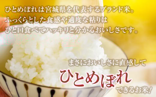 金芽米 無洗米 米 令和7年 宮城県産 特別栽培米 ひとめぼれ 120kg （ 5kg × 24袋 ） [ 宮城県 加美町 ]  km-my-knm120-r7