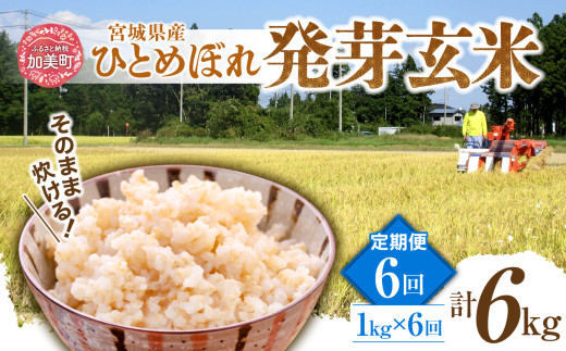 【6回定期便】 簡単に炊ける 宮城県産 ひとめぼれ 発芽玄米 計6kg(1kg×6回) [菅原商店 宮城県 加美町] 米 こめ コメ 玄米 発芽玄米 ご飯 | sg-hb01-hg-t6