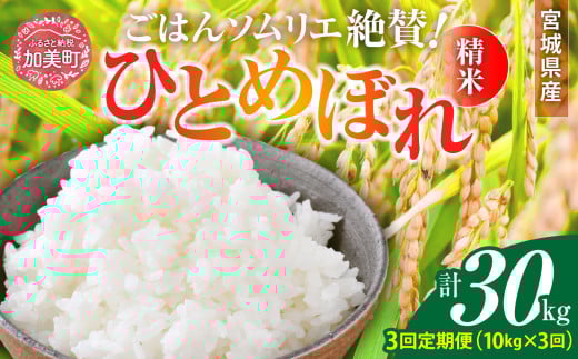 【3回定期便】 精米 令和7年産 宮城県産ひとめぼれ 計30kg (10kg×3回) [菅原商店 宮城県 加美町 ]   |sg-hb10-t3-r7