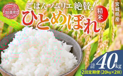 【2回定期便】 精米 令和7年産 宮城県産ひとめぼれ 計40kg (10kg×2袋)×2回 [菅原商店 宮城県 加美町 ] |sg-hb20-t2-r7