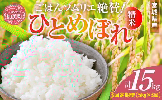 【3回定期便】 精米 令和7年産 宮城県産ひとめぼれ 計15kg (5kg×3回) [菅原商店 宮城県 加美町 ]  |sg-hb05-t3-r7