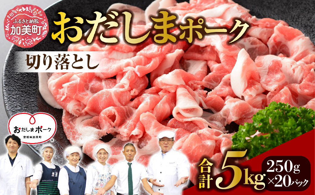 宮城県産ブランド豚 おだしまポーク 切り落とし 5kg 250g×20P [関精肉畜産 宮城県 加美町 ss-opko05] 