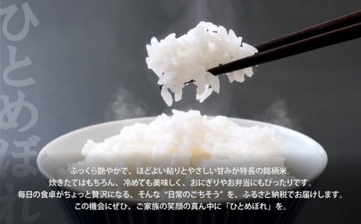 【無洗米】【5kg×3回 計15kg】 米 宮城県産 ひとめぼれ 5kg 定期便 《 令和7年産 新米 》 白米 精米 ご飯 ごはん コメ こめ お米 小分け 家庭用 結心ファーム [ 宮城県 加美町 ]  