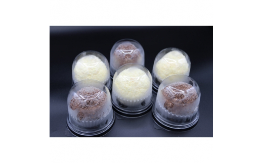 復刻版バフンケーキ　加美町名産　『加美ショコラ』　2種×各3個　(計6個入り) [やくらい土産センター 宮城県 加美町 44581293]