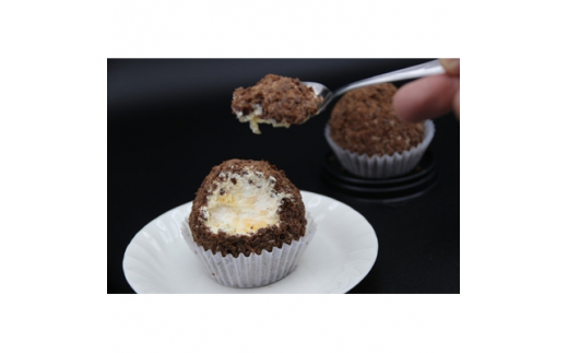 復刻版バフンケーキ　加美町名産　『加美ショコラ』　6個入り [やくらい土産センター 宮城県 加美町 44581294]