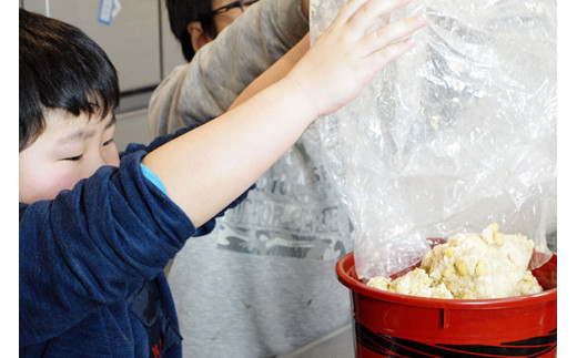 【親子で作る】手作り味噌おかわりキット（樽なし） [今野醸造 宮城県 加美町 44581367] 味噌 みそ ミソ 手作り キット オリジナル 無添加 趣味 自由研究