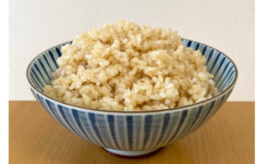 簡単に炊ける 宮城県産 ひとめぼれ 発芽玄米1kg [菅原商店 宮城県 加美町] 米 こめ コメ 玄米 発芽玄米 ご飯 | sg-hb01-hg