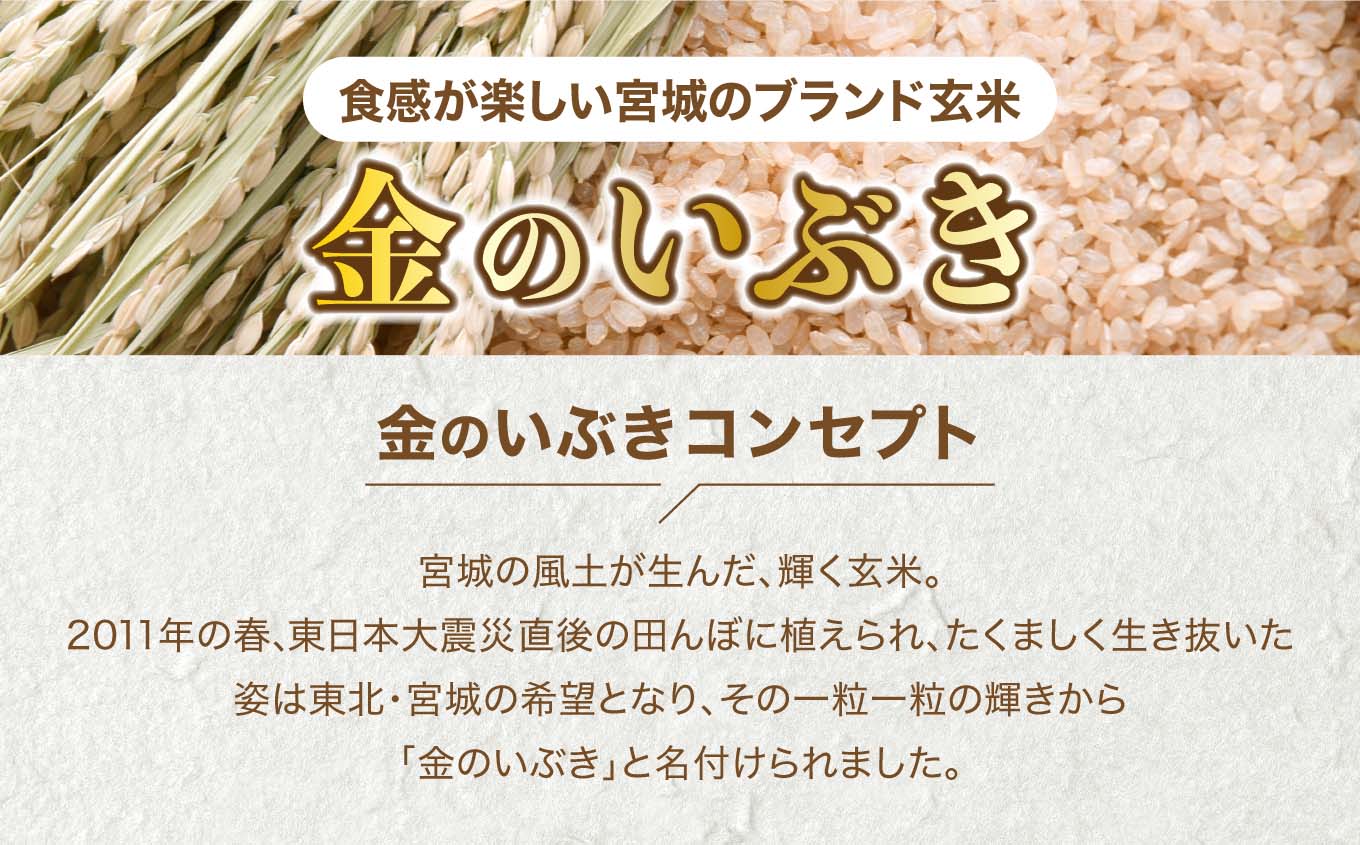 米 【 3回 隔月 定期便 】 宮城県産 金のいぶき 発芽玄米 パックごはん 12個×3回 総計36個 [ JA加美よつば（生活課） 宮城県 加美町 yo00005-r7-3k] レトルト ごはん ご飯 レトルトごはん レンジ レンチン かんたん パックライス ライス 米 簡単 お手軽 アウトドア キャンプ 備蓄 非常食 常備 ひとり暮らし 防災