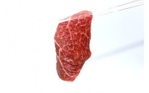 【肉職人厳選】 至福の焼肉セットB 計約1kg 最高等級A5ランク 仙台牛 加美町産ブランド豚 おだしまポーク 国産鶏せせり [関精肉畜産 宮城県 加美町 44581358] 牛カルビ 焼き肉 牛 豚