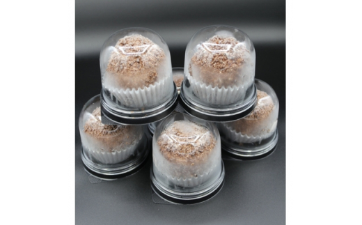 復刻版バフンケーキ　加美町名産　『加美ショコラ』　6個入り [やくらい土産センター 宮城県 加美町 44581294]