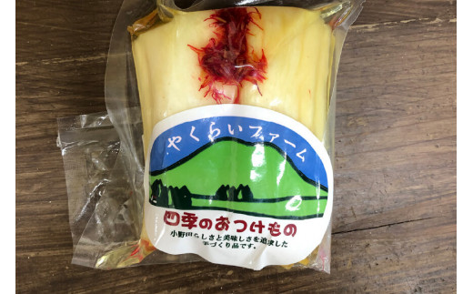 漬物クラブ 四季の漬物 3種セット [やくらい土産センター 宮城県 加美町 44581302]