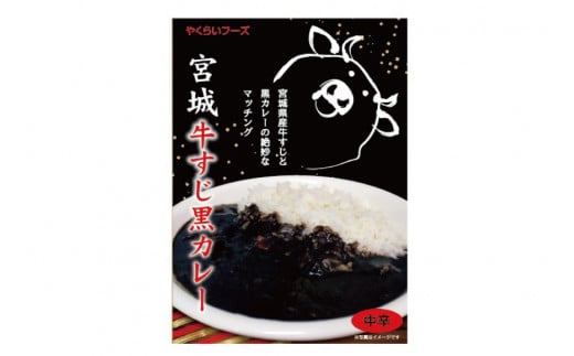 カレー 宮城 牛すじ 黒カレー 1人前(200g) [やくらいフーズ 宮城県 加美町 44581326] 牛すじカレー ブラックカレー レトルト 簡単
