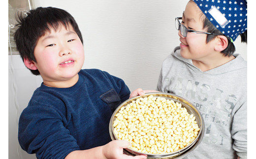 【親子で作る】手作り味噌おかわりキット（樽なし） [今野醸造 宮城県 加美町 44581367] 味噌 みそ ミソ 手作り キット オリジナル 無添加 趣味 自由研究