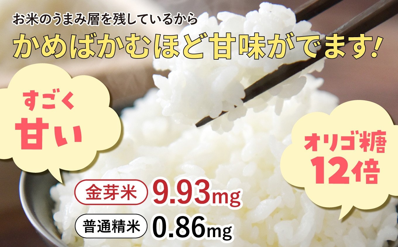 【 定期便3回 】令和7年 宮城県産 金芽米 ひとめぼれ 計12kg ( 4kg×3回 )   [ 宮城県 加美町 km-my-knm04-t3-r7 ]  お米 こめ コメ 精米 白米 きんめまい おすすめ 新米 ナカリ タカラ米穀 パワーライス カメイ 新生活応援 美味しい こだわり