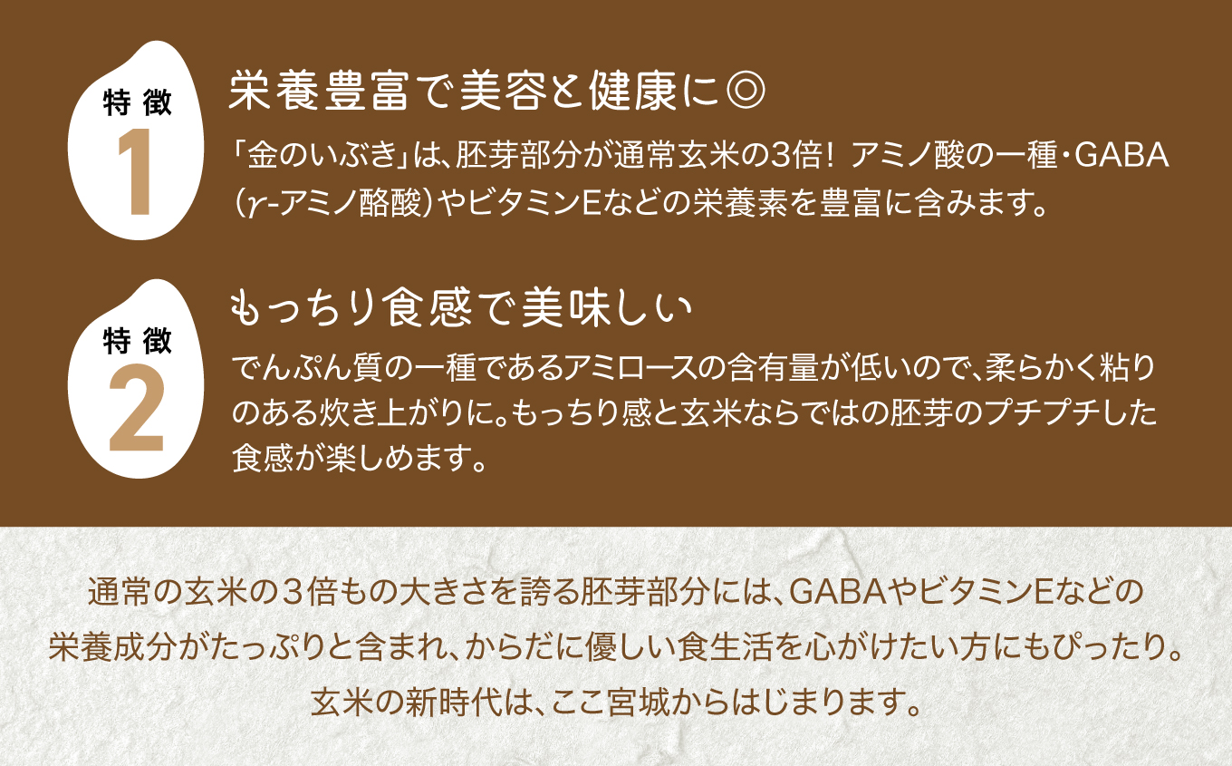米 【 6回 隔月 定期便 】 宮城県産 金のいぶき 発芽玄米 パックごはん 12個×6回 総計72個 [ JA加美よつば（生活課） 宮城県 加美町 yo00005-r7-6k]  レトルト ごはん ご飯 レトルトごはん レンジ レンチン かんたん パックライス ライス 米 簡単 お手軽 アウトドア キャンプ 備蓄 非常食 常備 ひとり暮らし 防災