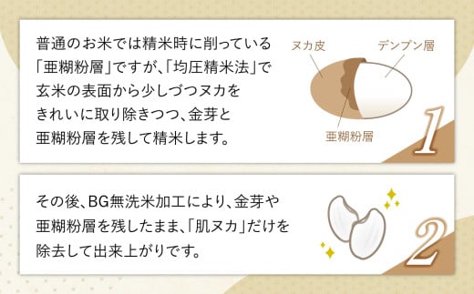 金芽米 無洗米 米 令和7年 宮城県産 特別栽培米 ひとめぼれ 120kg （ 5kg × 24袋 ） [ 宮城県 加美町 ]  km-my-knm120-r7
