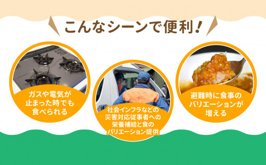 温めずに食べられるカレー職人（中辛）10食セット 【8500円】 中辛10食
