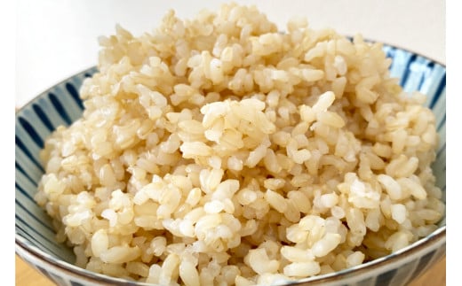 簡単に炊ける 宮城県産 ひとめぼれ 発芽玄米1kg [菅原商店 宮城県 加美町] 米 こめ コメ 玄米 発芽玄米 ご飯 | sg-hb01-hg