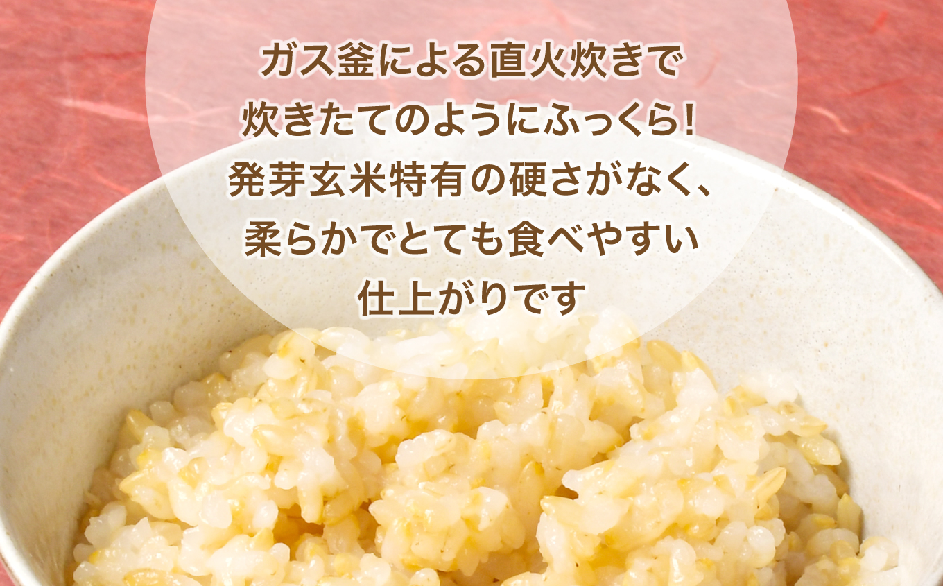 米 【 6回 隔月 定期便 】 宮城県産 金のいぶき 発芽玄米 パックごはん 12個×6回 総計72個 [ JA加美よつば（生活課） 宮城県 加美町 yo00005-r7-6k]  レトルト ごはん ご飯 レトルトごはん レンジ レンチン かんたん パックライス ライス 米 簡単 お手軽 アウトドア キャンプ 備蓄 非常食 常備 ひとり暮らし 防災