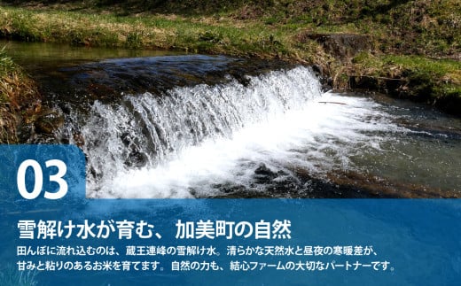 【無洗米】【10kg×5回 計50kg】 米 宮城県産 ひとめぼれ 10kg 定期便 《 令和7年産 新米 》 白米 精米 ご飯 ごはん コメ こめ お米 小分け 家庭用 結心ファーム [ 宮城県 加美町 ]