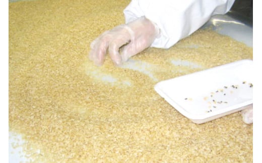 【6回定期便】 簡単に炊ける 宮城県産 ひとめぼれ 発芽玄米 計6kg(1kg×6回) [菅原商店 宮城県 加美町] 米 こめ コメ 玄米 発芽玄米 ご飯 | sg-hb01-hg-t6