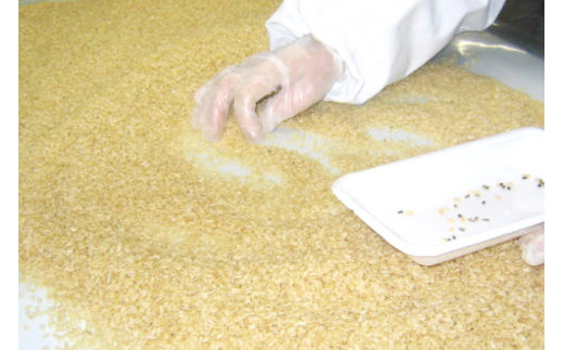 簡単に炊ける 宮城県産 ひとめぼれ 発芽玄米5kg [菅原商店 宮城県 加美町] 米 こめ コメ 玄米 発芽玄米 ご飯 | sg-hb05-hg