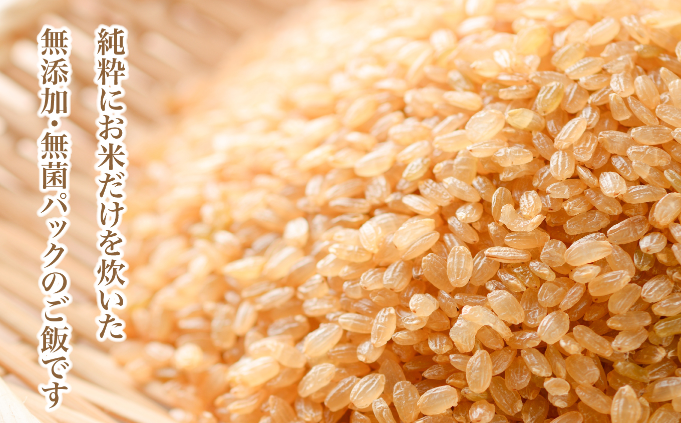 米 【 6回 隔月 定期便 】 宮城県産 金のいぶき 発芽玄米 パックごはん 12個×6回 総計72個 [ JA加美よつば（生活課） 宮城県 加美町 yo00005-r7-6k]  レトルト ごはん ご飯 レトルトごはん レンジ レンチン かんたん パックライス ライス 米 簡単 お手軽 アウトドア キャンプ 備蓄 非常食 常備 ひとり暮らし 防災