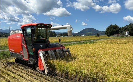 【無洗米】【5kg】 米 宮城県産 ひとめぼれ 《 令和7年産 新米 》 ブランド米 白米 精米 ご飯 ごはん コメ こめ お米 小分け 家庭用 結心ファーム [ 宮城県 加美町 ]  | yu-hb05-mu-r7