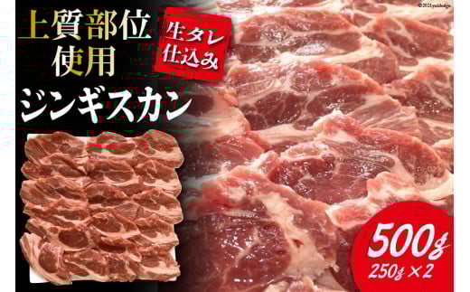 【上質部位使用】生タレ仕込みジンギスカン 500g（250g×2） [関精肉畜産 宮城県 加美町 44581341] ジンギスカン ラム 羊 肉 肩ロース 焼肉 バーベキュー BBQ アウトドア