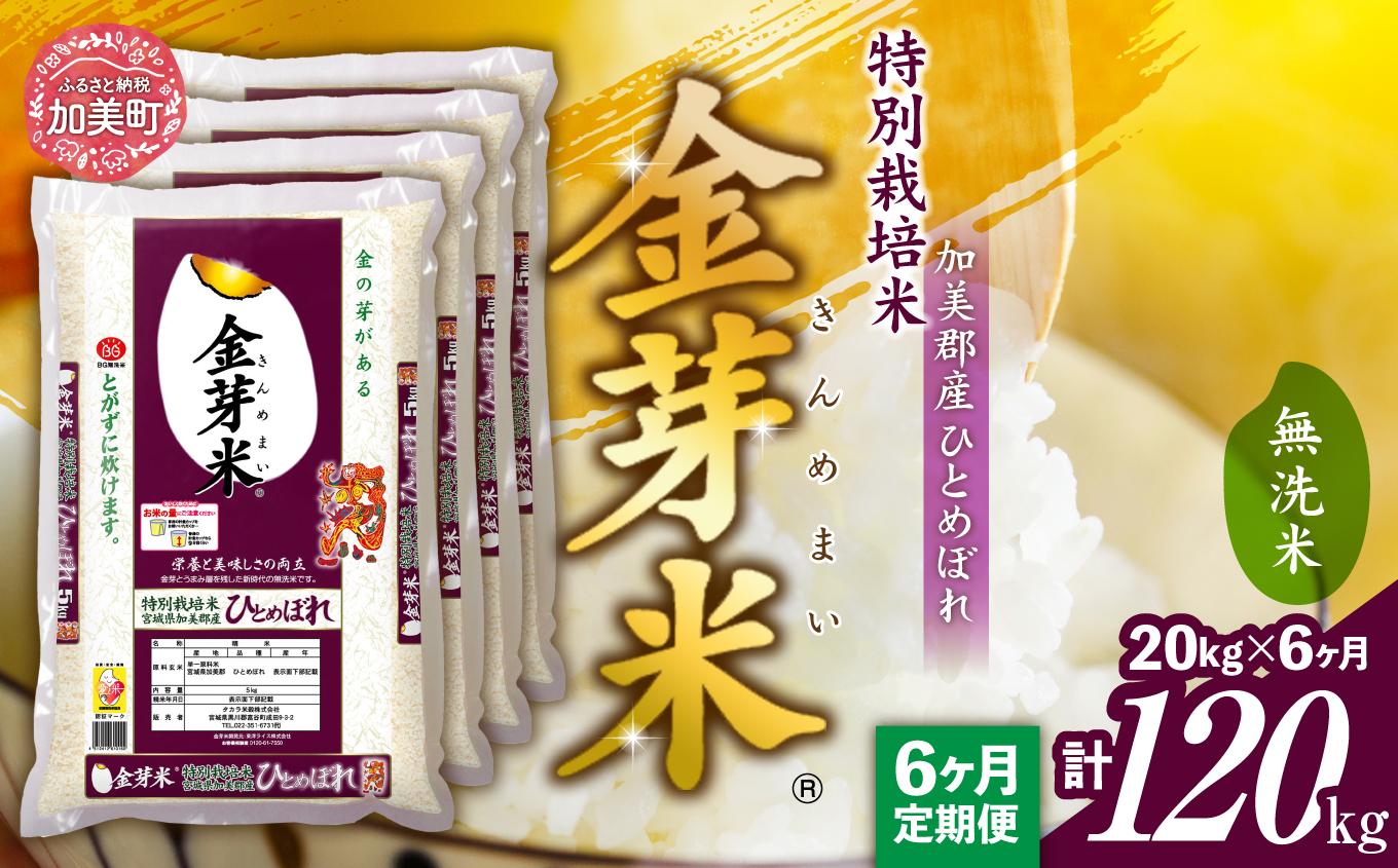 定期便 6回 】米 無洗米 金芽米 令和6年 宮城県 加美産 ひとめぼれ 特別栽培米 計 120kg ( 20kg × 6回 ) [ 宮城県 加美町  ] お米 こめ コメ 精米 白米 玄米 きんめまい おすすめ 新米 ナカリ