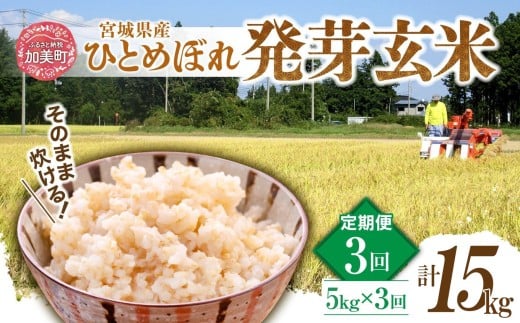 【3回定期便】 簡単に炊ける 宮城県産 ひとめぼれ 発芽玄米 5kg 計15kg(5kg×3回) [菅原商店 宮城県 加美町] 米 こめ コメ 玄米 発芽玄米 ご飯 |sg-hb05-hg-t3
