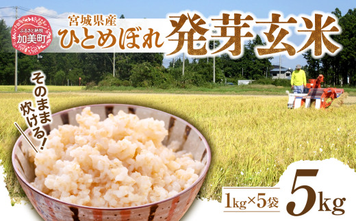 簡単に炊ける 宮城県産 ひとめぼれ 発芽玄米5kg [菅原商店 宮城県 加美町] 米 こめ コメ 玄米 発芽玄米 ご飯 | sg-hb05-hg
